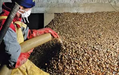 Schelpen aanbrengen in de kruipruimte